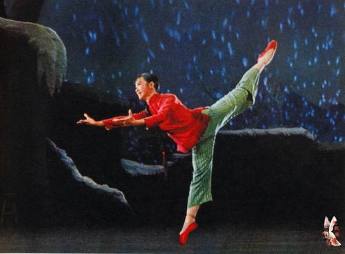 怎么做假也门